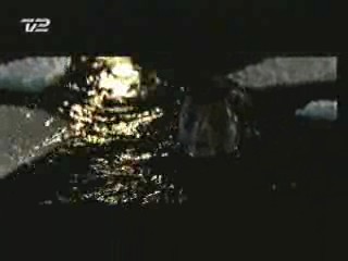 Smillas Sence Of Snow