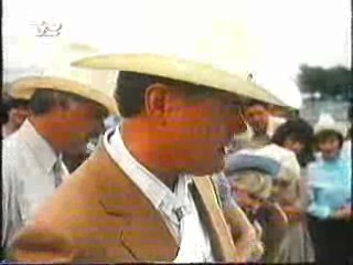 Dallas, Dharma & Greg