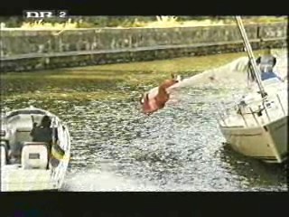 S.O.S. - En segelsällskapsresa