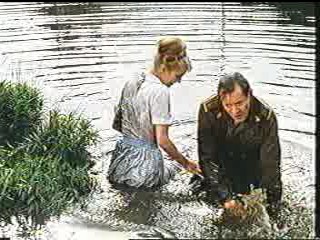 Soldaterkammerater pÃ¥ efterÃ¥rsmanÃ¸vre