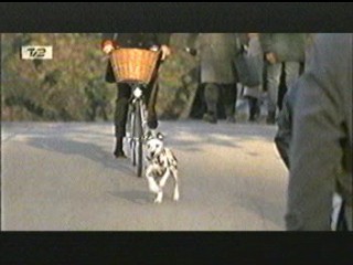 101 dalmatians