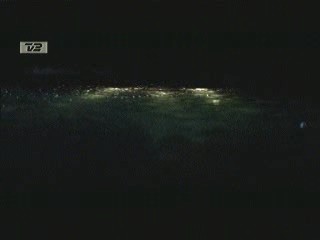 Tomb Raider - The Cradle of Life