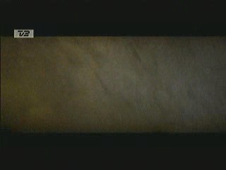 Tomb Raider - The Cradle of Life