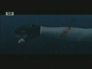 Tomb Raider - The Cradle of Life