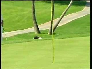 Golf Nabisco Championship 2001