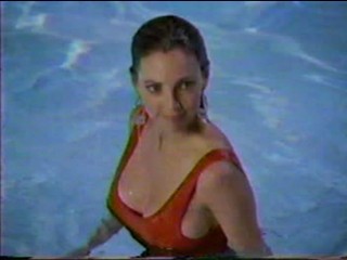 Dynasty: The Reunion