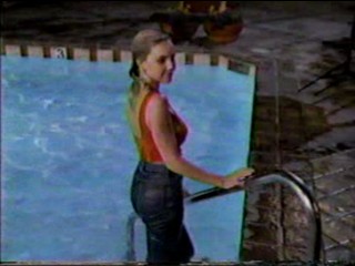 Dynasty: The Reunion