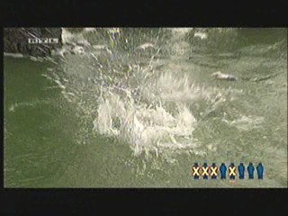 Entern oder Kentern 10-08-2007 #3/3