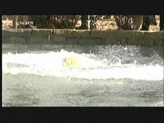 Entern oder Kentern 17-08-2007