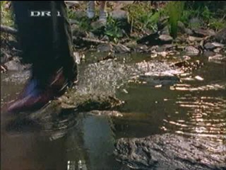 Shadows of the Heart (1990)