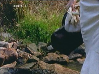 Shadows of the Heart (1990)