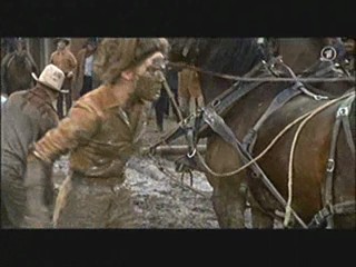 Support Your Local Sheriff