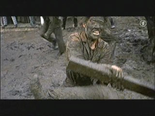 Support Your Local Sheriff