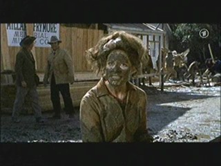 Support Your Local Sheriff