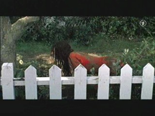 Support Your Local Sheriff