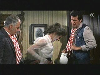 Support Your Local Sheriff