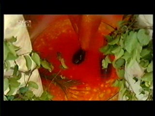 I am a star, get me out of here (Ich bin ein Star â€“ Holt mich hier raus!)