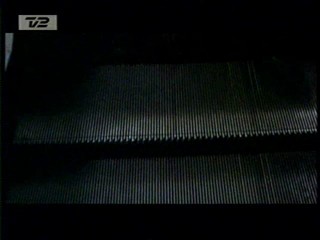 Up Close and Personal