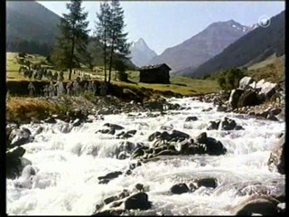 KaiserjÃ¤ger (1956)