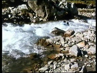 KaiserjÃ¤ger (1956)