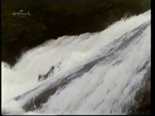 Follow the River (1995)