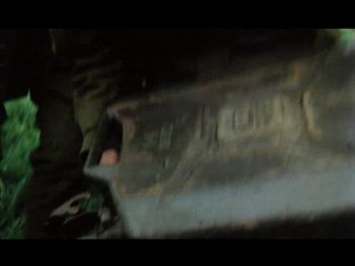 Girls in Arms (1975)