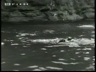 Angel and the badman (1947)