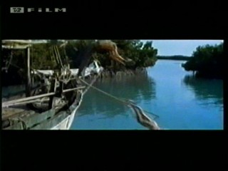 Beneath 12 Mile Reef (1953)