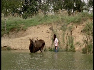 Tierarztin Dr Mertens 4.07