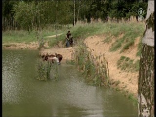 Tierarztin Dr Mertens 4.07