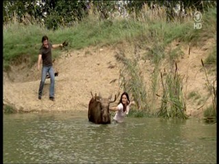 Tierarztin Dr Mertens 4.07