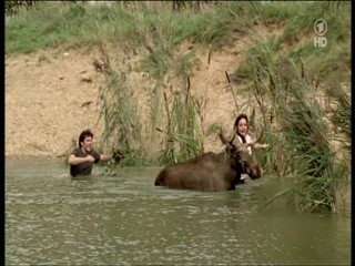 Tierarztin Dr Mertens 4.07