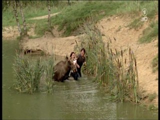 Tierarztin Dr Mertens 4.07