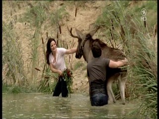 Tierarztin Dr Mertens 4.07