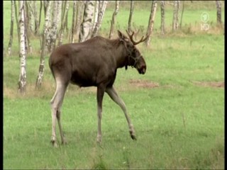 Tierarztin Dr Mertens 4.07