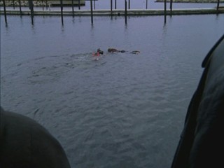 Wallander Fotografen