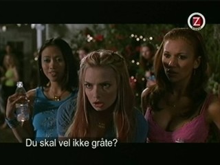 Not Another Teen Movie