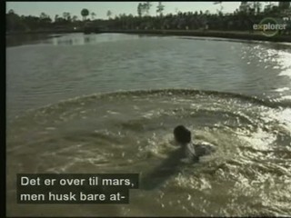 Swamp Buggy Queen Documentary