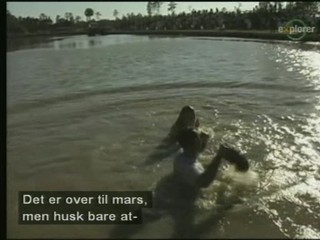 Swamp Buggy Queen Documentary