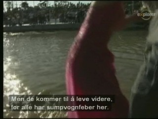 Swamp Buggy Queen Documentary