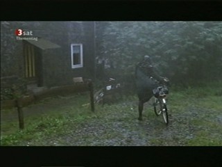 Lupo und der muezzin