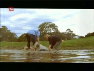 McLeod`s Daughters 04