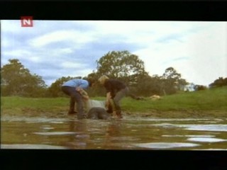 McLeod`s Daughters 04