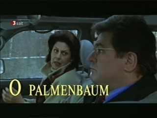 Palmenbaum