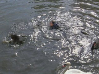 Remington Steele -  Dreams of Steele 1