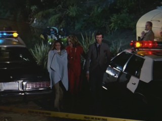 Remington Steele -  Dreams of Steele 1