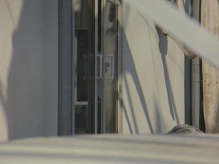 Remington Steele - Dreams of Steele 2