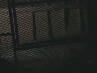 Remington Steele - Elegy in Steele