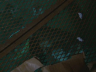 Remington Steele - Elegy in Steele