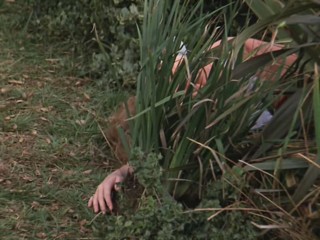 Remington Steele - Small Town Steele